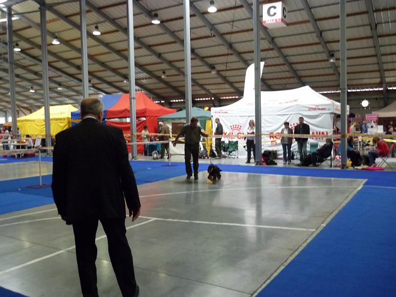 t Arny-1.5.2010 NVP Praha.JPG